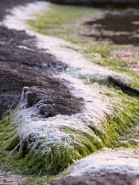 Stream flowing through rocks