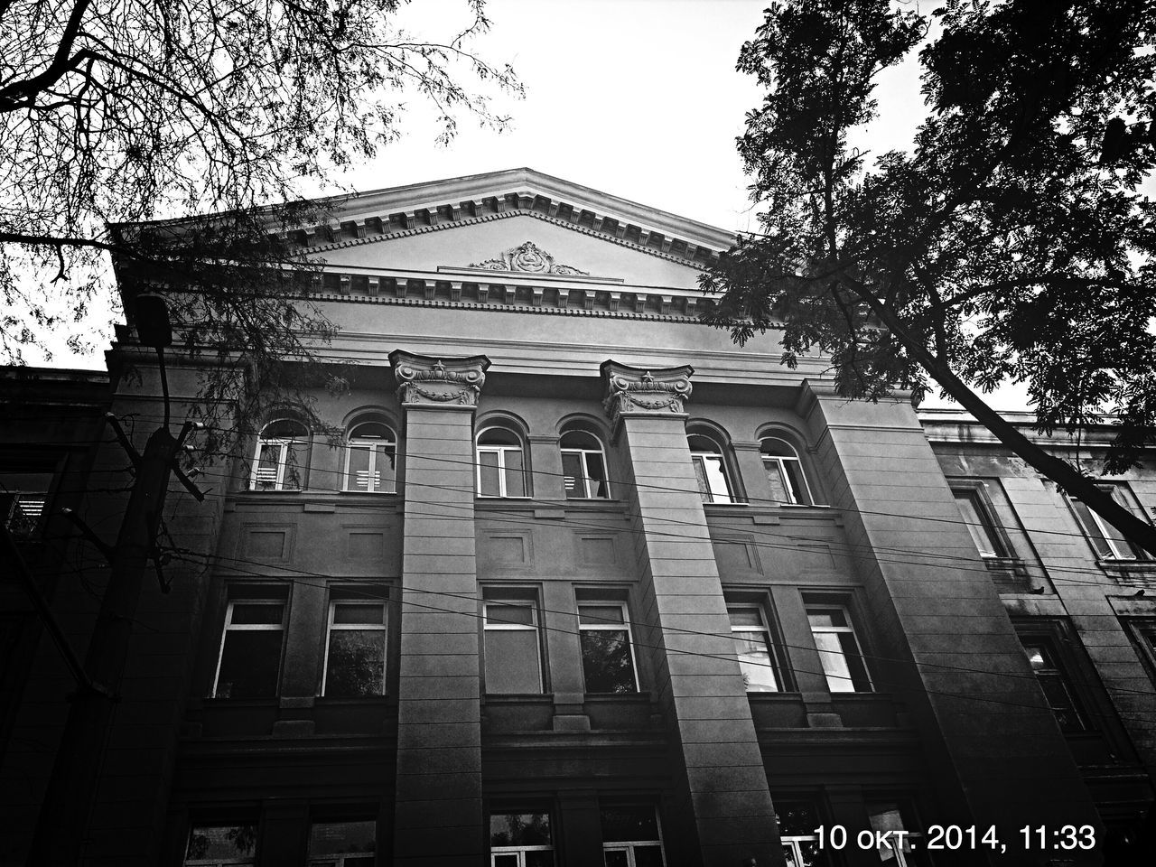 architecture, building exterior, built structure, low angle view, window, tree, building, residential building, residential structure, city, facade, sky, branch, outdoors, day, no people, clear sky, house, balcony, apartment