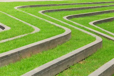 Full frame shot of grass at park