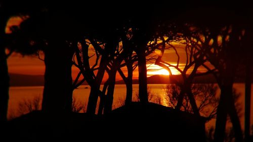 Silhouette trees by lake against sky during sunset