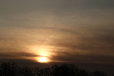 Low angle view of silhouette trees against sky during sunset