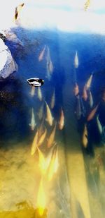 High angle view of people swimming in sea