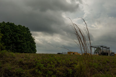 Scenic view of grassy field against cloudy sky