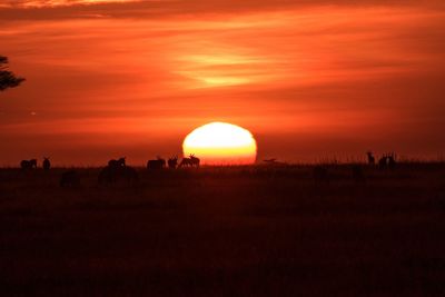 Scenic view of silhouette field against sky during sunset