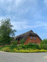 Road amidst trees and building against sky