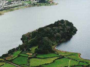 Scenic view of lake against trees