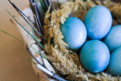 Close-up of multi colored eggs in nest