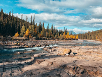 Scenic view of rocks in forest against sky