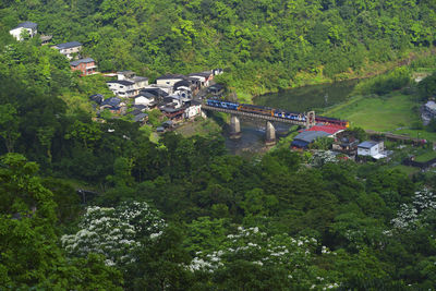 High angle view of bridge over river in forest