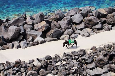 View of rock formation on beach