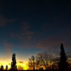 Silhouette of trees at sunset