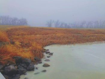 Scenic view of snow covered field