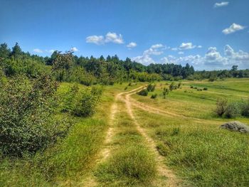 Scenic view of landscape against sky