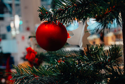 Close-up of christmas decorations