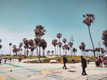 People by palm trees against clear sky