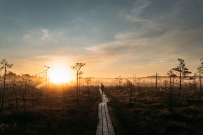 Man standing by plants on land against sky during sunset