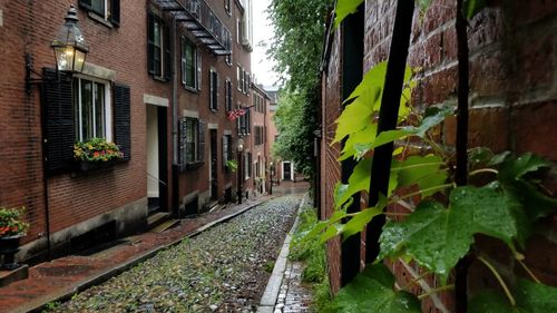 Alley amidst buildings in city