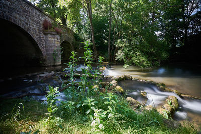 Arch bridge over river in forest