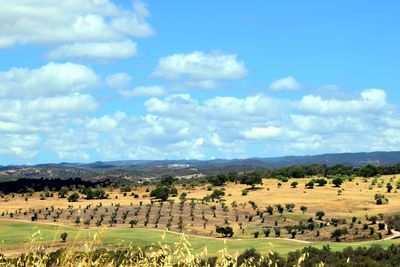 Scenic view of landscape against sky