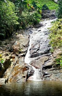 Scenic view of waterfall in forest