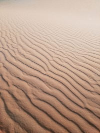 Full frame shot of sand dune