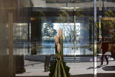 Rear view of woman standing by window