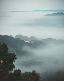 Scenic view of foggy morning
