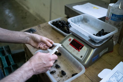 Cropped hands of man working in workshop