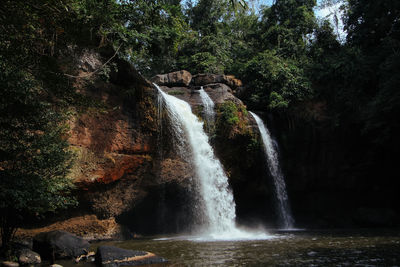 Scenic view of waterfall in forest