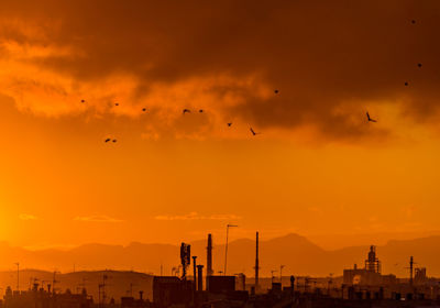 Silhouette birds flying in city against orange sky