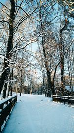 Low angle view of snow covered trees against sky