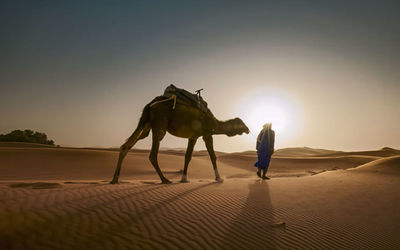 View of person riding in desert against sky