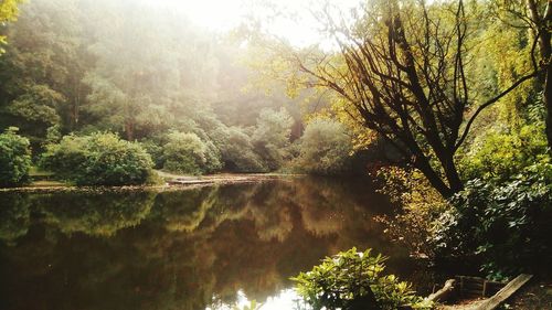 Reflection of trees in lake against sky