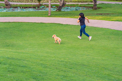 Full length of a dog running on grassy field