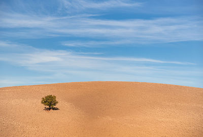 Scenic view of desert against sky