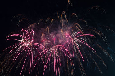 Low angle view of firework display at night