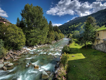 Scenic view of river amidst trees against sky