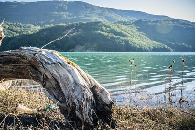 Scenic view of lake by mountains