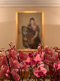 Close-up of pink flowers against wall
