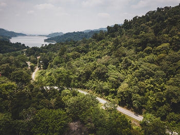 High angle view of plants and trees against sky