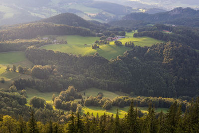 Scenic view of landscape