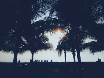 Low angle view of silhouette palm trees against sky