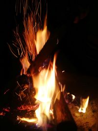 Close-up of bonfire at night