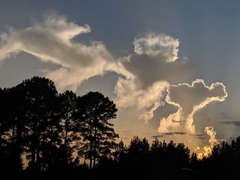 Low angle view of silhouette trees against sky at sunset