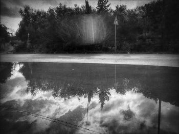 Reflection of trees in water