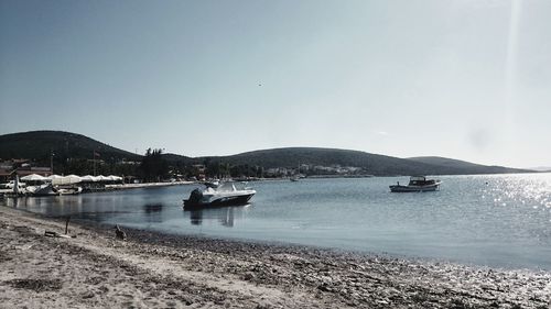 Sailboats moored on sea against clear sky