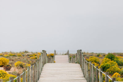 Boardwalk amidst plants against sky