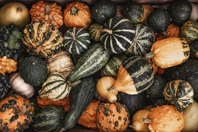 Full frame shot of pumpkins for sale at market