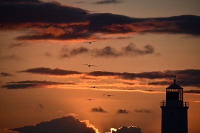 Silhouette birds flying against sky during sunset