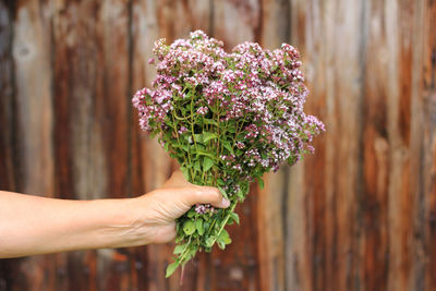Cropped hands holding purple bouquet
